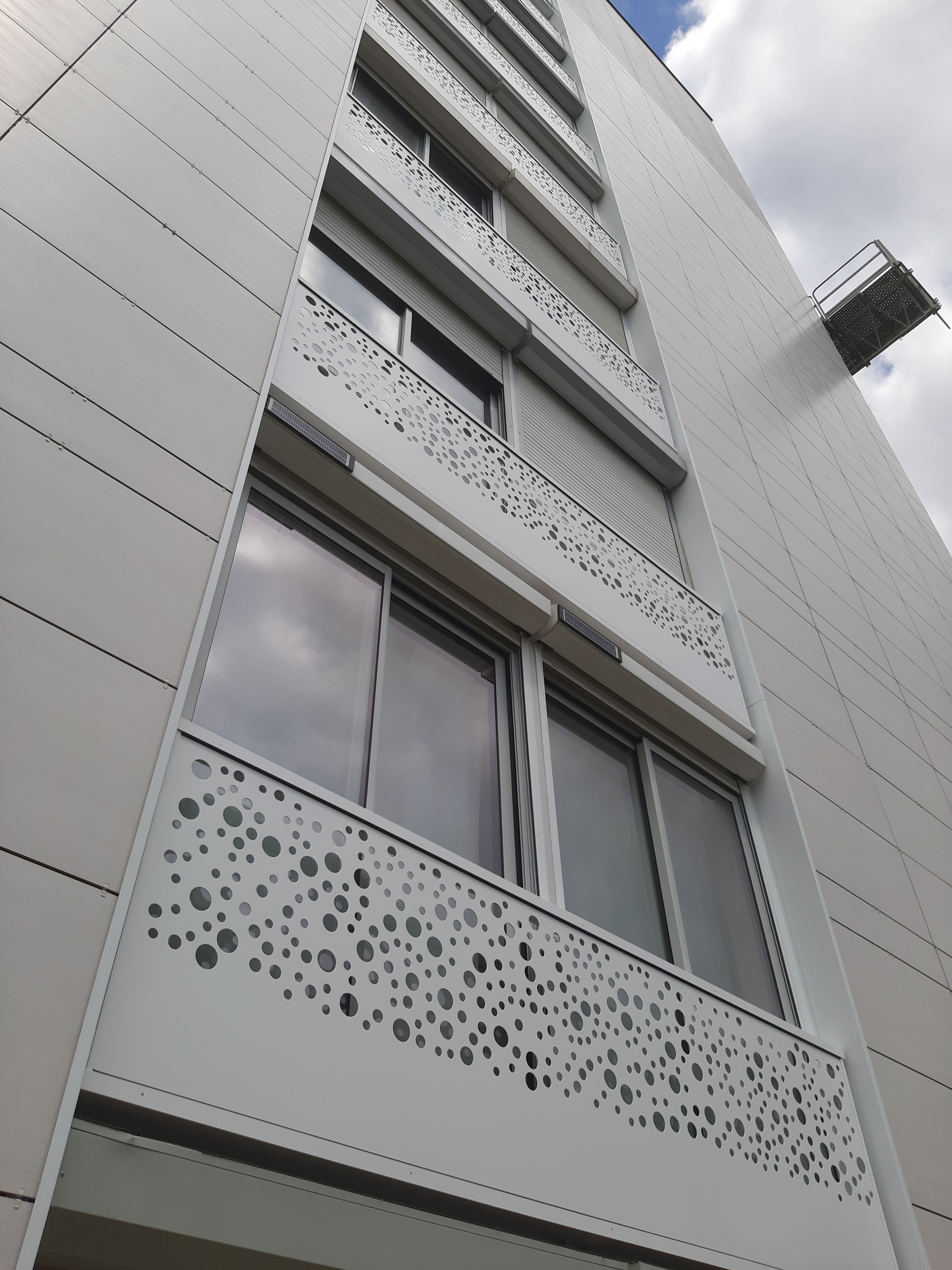 7-ANGERS - Nid de pie garde corps