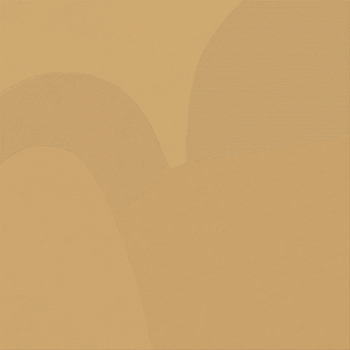 ARTWORK Goose beak yellow