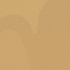 ARTWORK Goose beak yellow